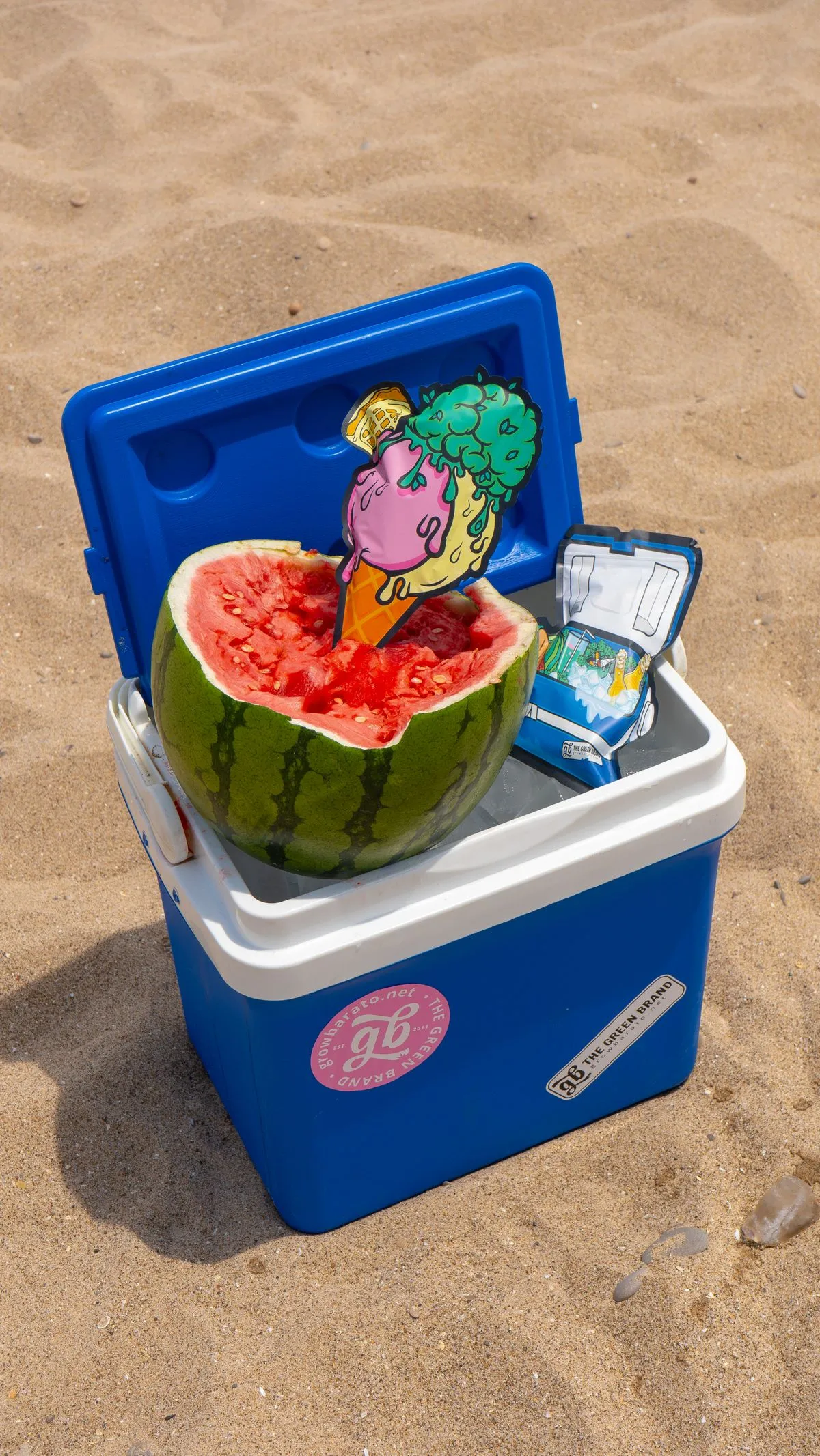 An insulated cooler with fruit and an ice pack