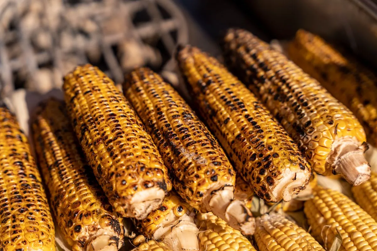 Charred corn on the cob