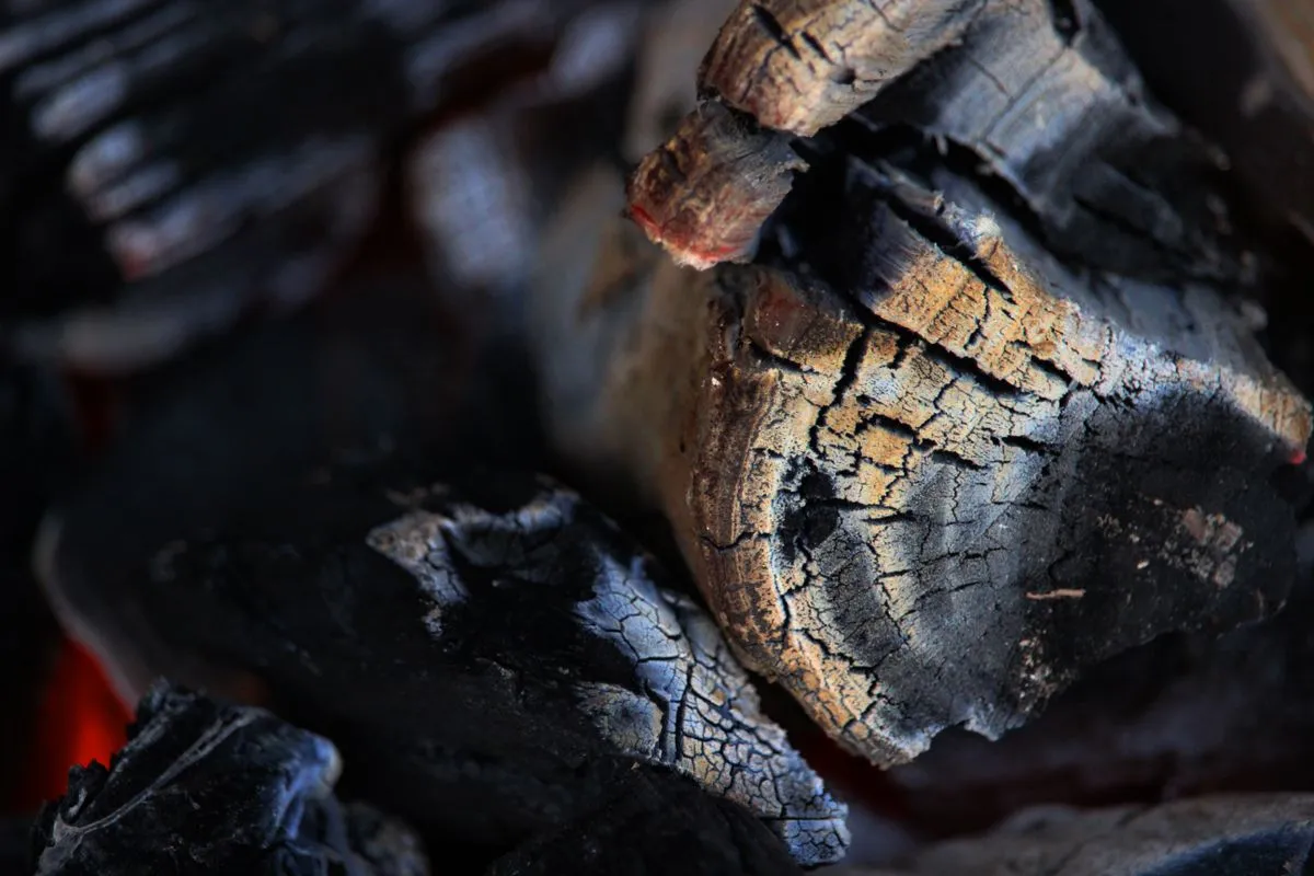 Close view of charcoal pieces