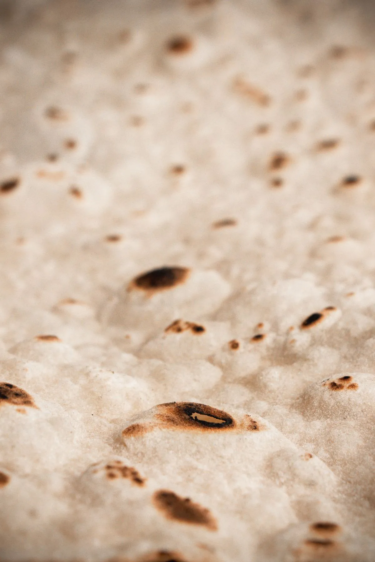 Freshly cooked flatbreads