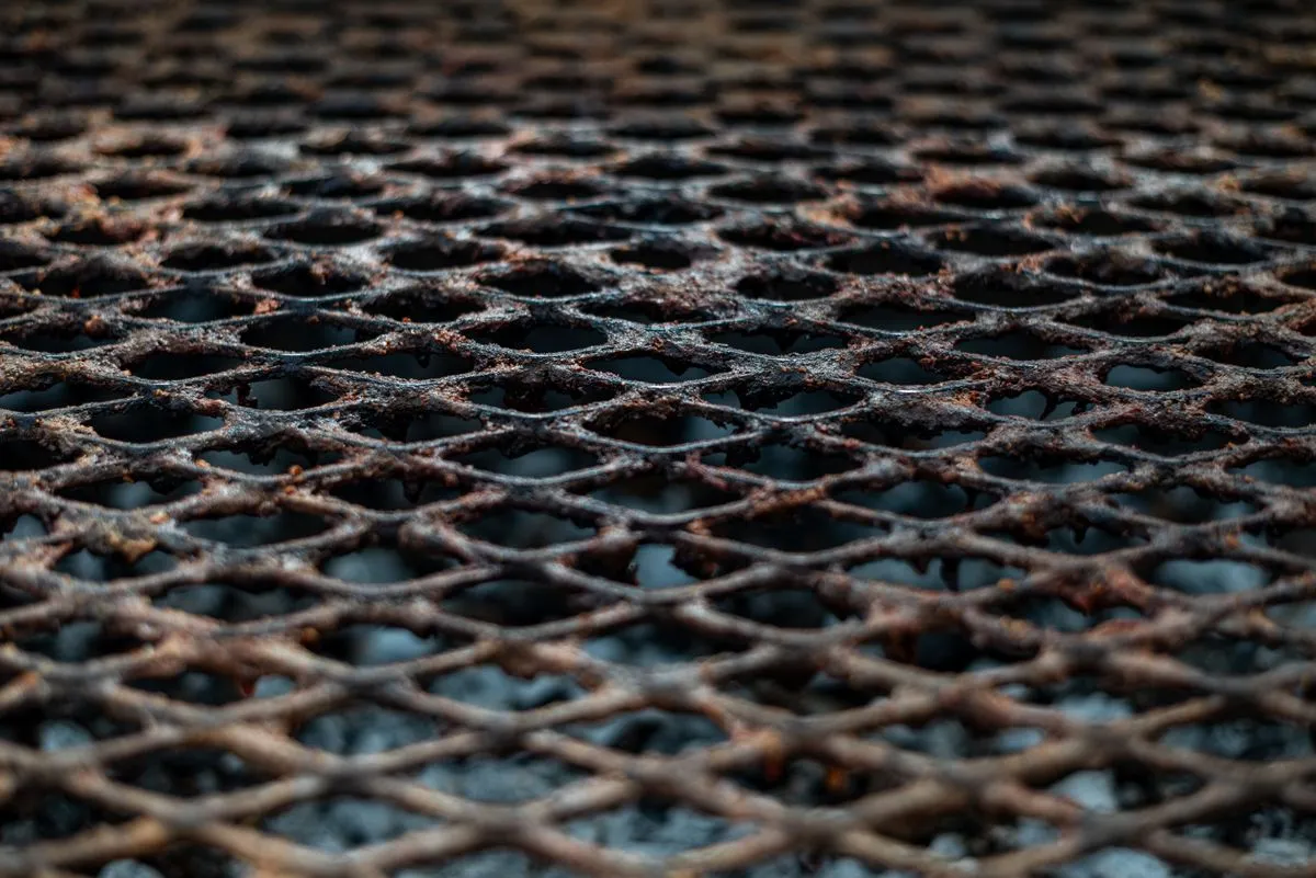 Rust on a barbecue cooking grate